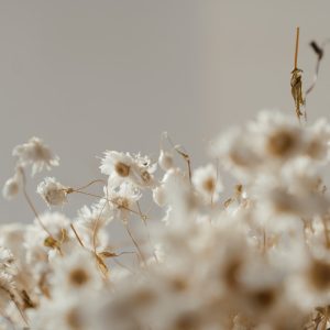Wedding Bliss Bouquet