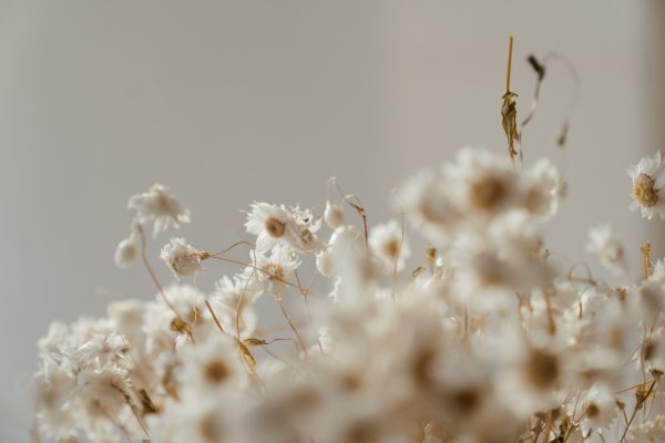 Wedding Bliss Bouquet