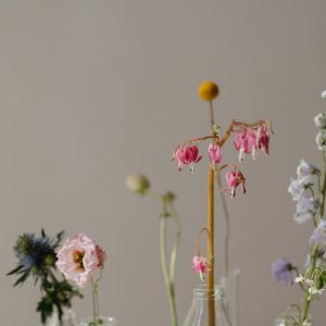 Mother’s Day Garden