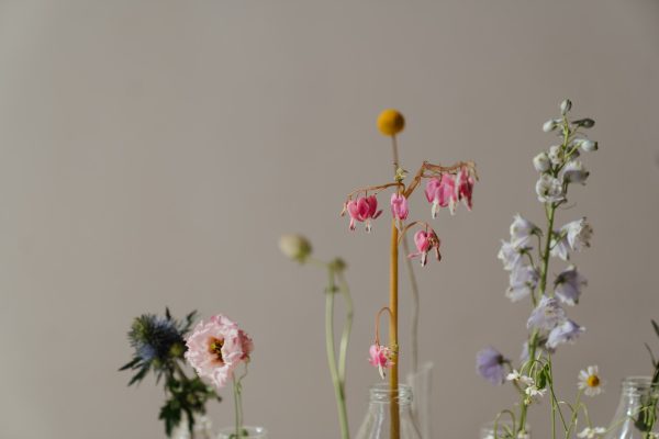 Mother’s Day Garden